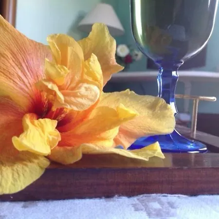 Bed & Breakfast Le Quattro Mura *